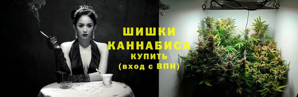 шишки Балахна