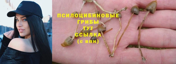 мяу мяу мука Баксан