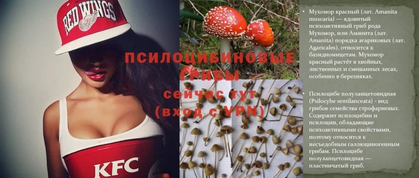 шишки Балахна