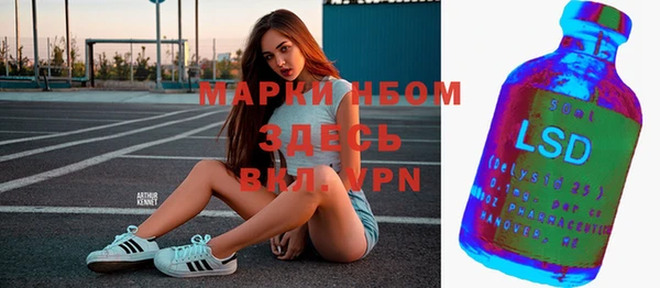 мяу мяу мука Баксан