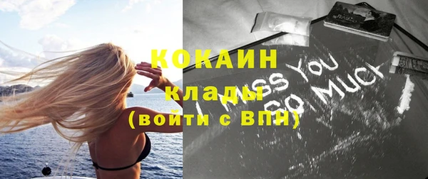 шишки Балахна