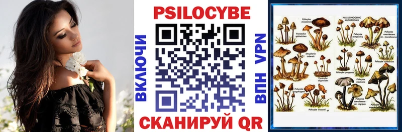 Галлюциногенные грибы Cubensis  MEGA   Лахденпохья 